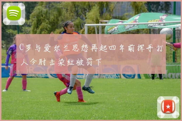 C罗与爱尔兰恩怨再起四年前挥手打人今肘击染红被罚下