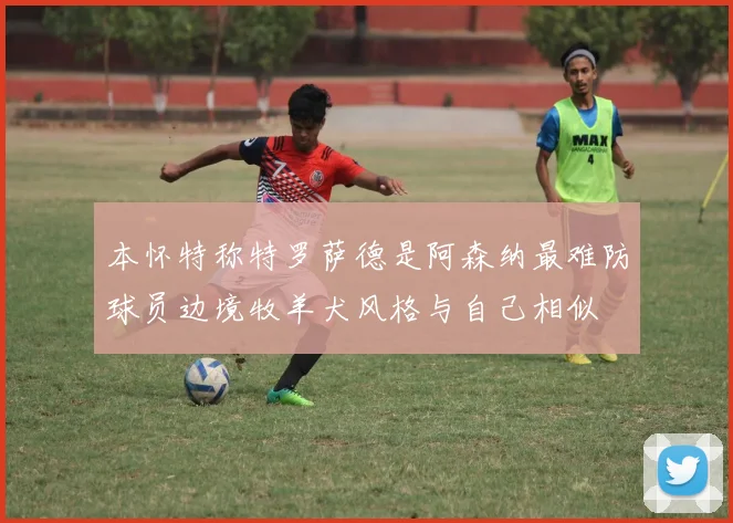 本怀特称特罗萨德是阿森纳最难防球员边境牧羊犬风格与自己相似