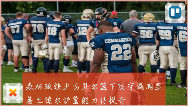 森林狼缺少戈贝尔篮下防守漏洞显著兰德尔护筐能力待提升